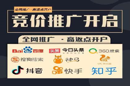 行业领先！专业SEM托管的成功实践案例